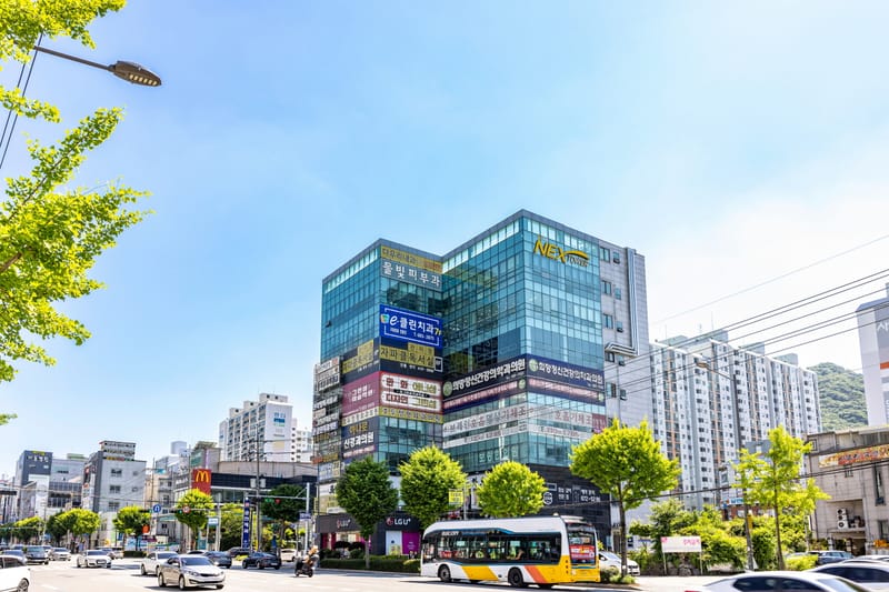 큰길에서 바라본 넥스타워 건물과 e클린치과 간판